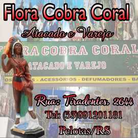 FLORA COBRA CORAL